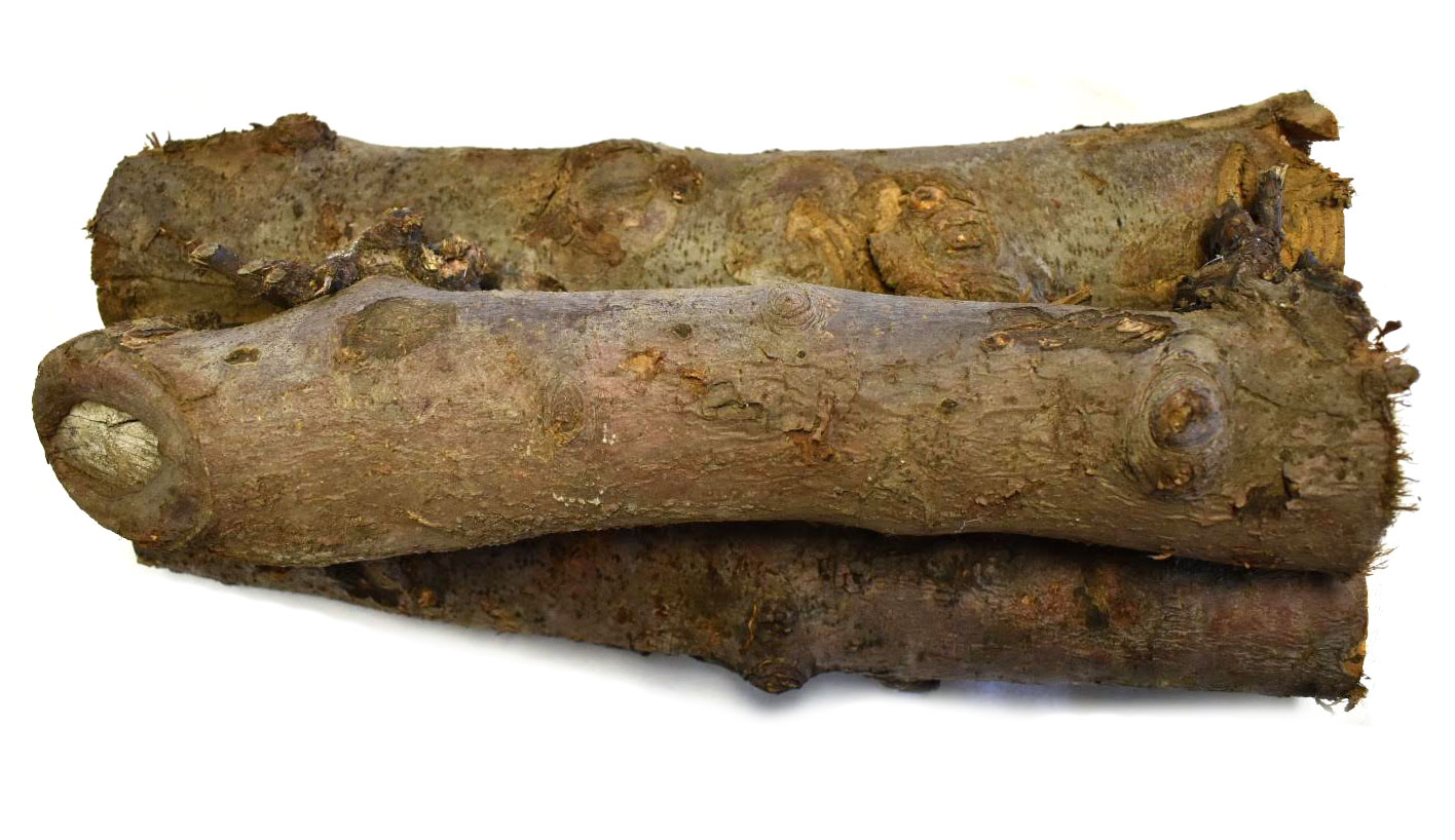 logs